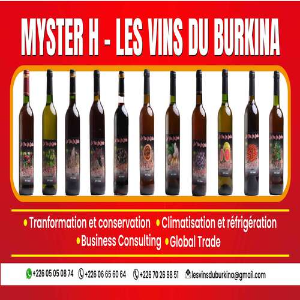LES VINS DU BURKINA(MYSTER H)